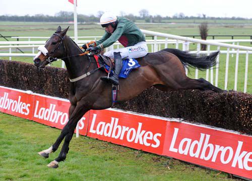 Heavenly Brook and Andrew McNamara negotiate the last on their way to victory at Fairyhouse