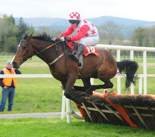 Doctor Henry awkwardly jumps the last under Paddy Mangan