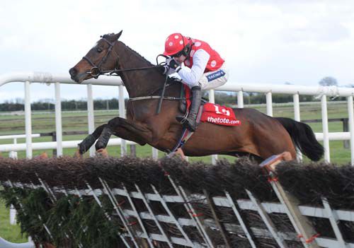 Vast Consumption throws another good leap at the last under Ruby Walsh