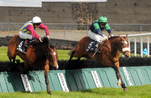 Authinger (right, Barry Cash) jump the last alongside Casimir Road