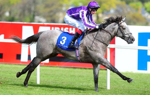 Forester and Joseph O'Brien stride home at Leopardstown