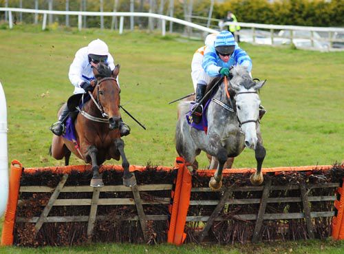 Fairymount Lord and Paul Carberry (grey horse)