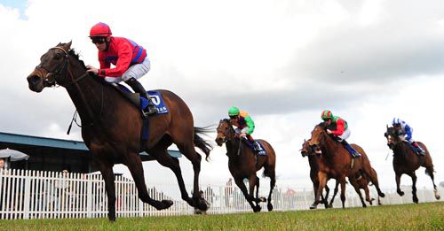 Santo Padre leads the field home at Naas