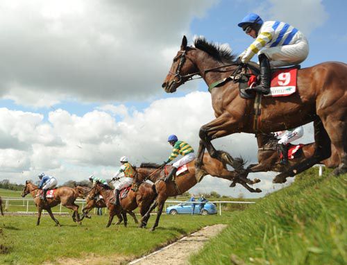 Outlaw Pete (blue cap) in action before going on to win last year's Irish Field Chase