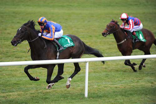 Athens & Joseph O'Brien have the measure of Ursa Major & Johnny Murtagh back in second