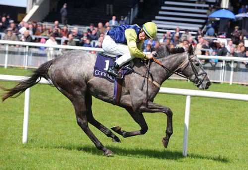 Job done for Shane Foley & Gossamer Seed at the Curragh