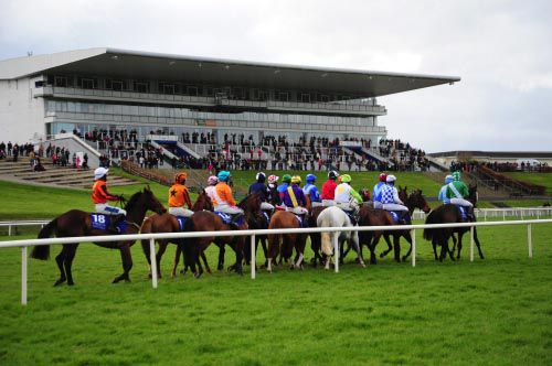 Limerick races