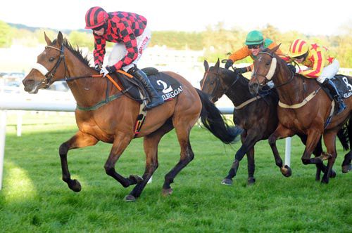 Galant Ferns & Bryan Cooper ease on past Kilflora (inside) & The Book Thief