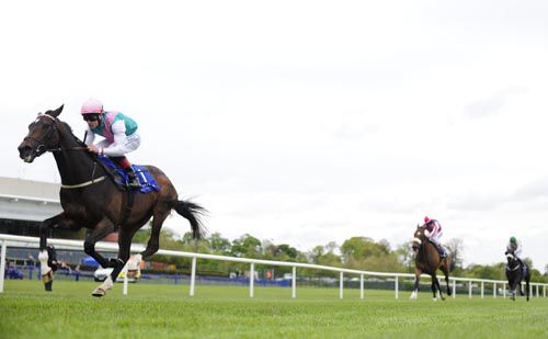 Famous Name comes home clear at Leopardstown