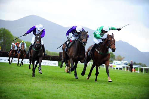 No Notions (right) battles it out with The Mull (centre) while The Blarney Rose is back in third