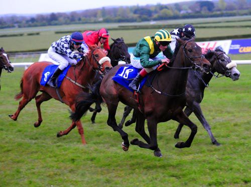 Suzette De Bavay under Chris Hayes hits the front close home from Susiescot (grey) and Maid To Master (checked colours)