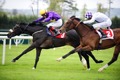 Imperial Concorde (Pat Smullen) beating Einsteins Folly