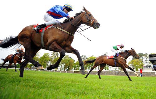 New Magic (far side) gets up to win under Niall McCullagh