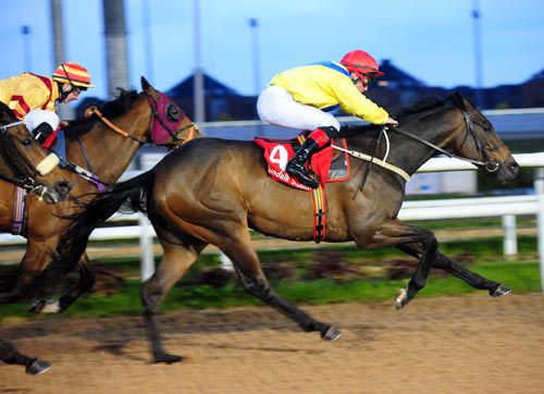 The Damien English trained Cash Or Casualty was due to run at Southwell
