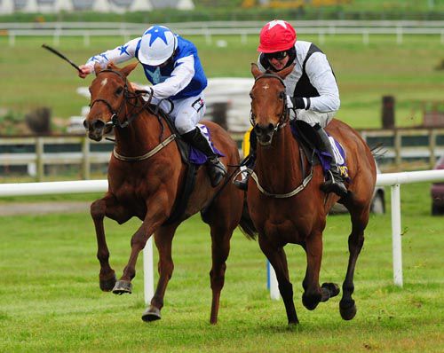 Chiltern Hills (left) defeats Ourbeautifuldream