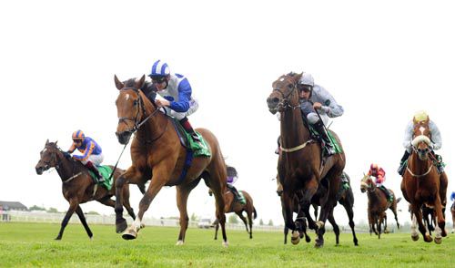 Kashmir Peak (blue & white) pictured winning at Navan in May when trained by Ger Lyons