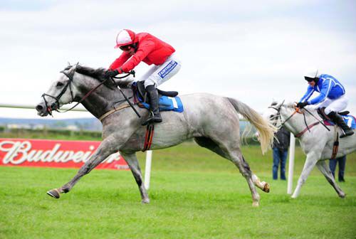 Ardboe Abbey proves too strong for La Femme Blanche