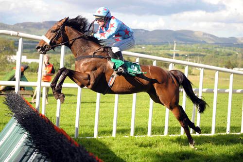 The ill-fated Lough Donnell Mist and Danny Howard clear the last