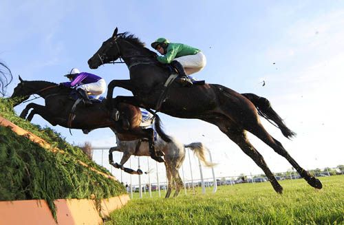 Elembridge King and Mark Scallan (green) produce a fine leap on their way to success