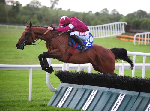 Discoteca under Davy Russell clears this hurdle on his way to victory