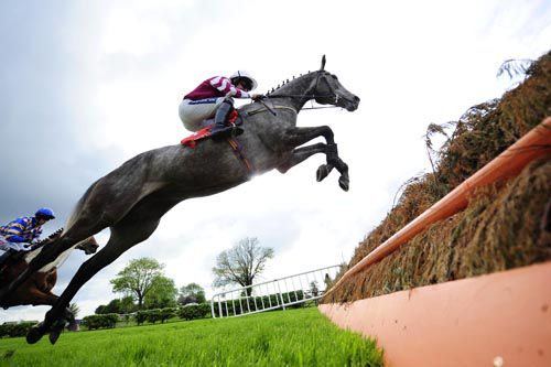 A mighty leap from Raptor with Ruby Walsh up