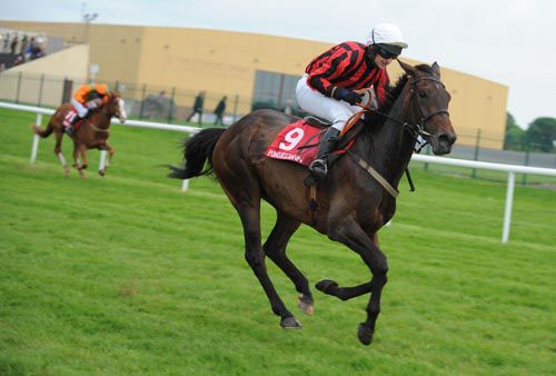 Elsie left the drifting Forced Kin in her wake at Punchestown