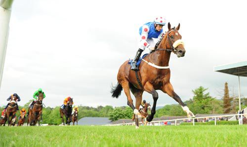 Castle Guest cruises home under Shane Foley