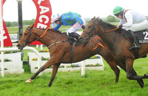Coldwinters and Keith Donoghue hit the line at Kilbeggan