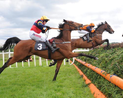 Great picture, as Norther Bay is about to crash out at the last while Any Bets jumps it with precision