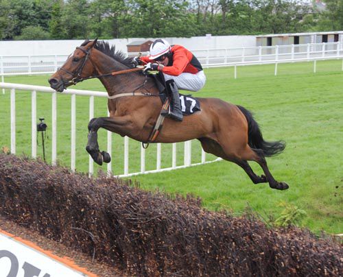 Warne puts in a great jump at the last on his way to victory under Declan Lavery
