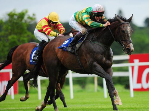 Louisville Lip stays on well to beat Beau Michael at Leopardstown