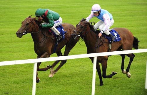 Alanza accounts for Marvada at Leopardstown