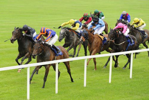 Fire Lily has her 8 rivals beaten at Leopardstown