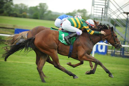 Stocktons Wing, near side, wins from Sure Reef at Navan 