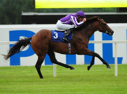 Pedro The Great was good at Leopardstown