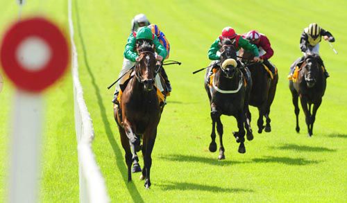 Sharestan goes on from Mizani (noseband) & co at the Curragh