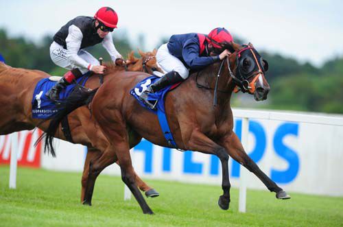 Bogini saves a bit for herself but she outpointed Flic Flac at Leopardstown