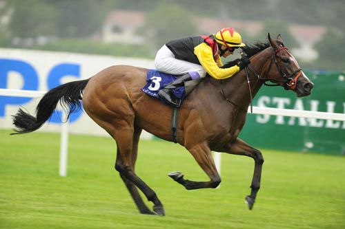 Colliding Worlds takes a big step up in class after winning her maiden at Leopardstown 