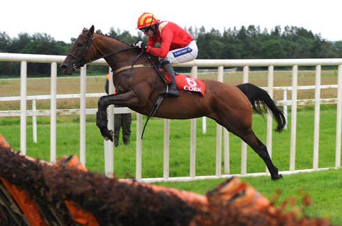 Dare To Doubt soars over the last to win easily at Cork