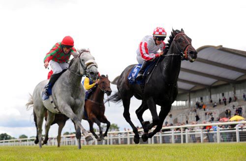 Slade Power, right, gets up to beat Arctic at Fairyhouse 