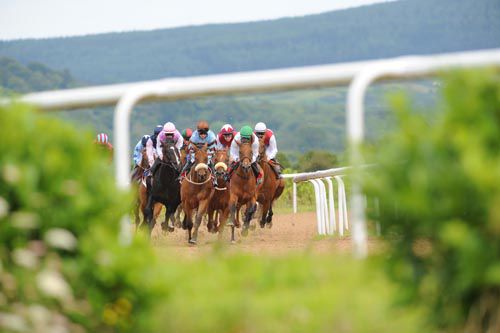 That Boy David (centre with noseband) leads the field as they approach the straight