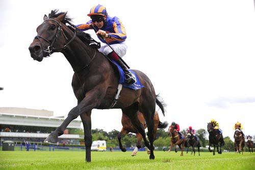 Unanimous gives Aidan and Joseph O'Brien a double at Leopardstown