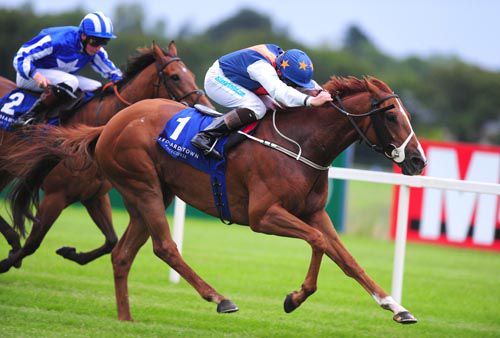 Chris Hayes pushes out Footprint to win at Leopardstown 