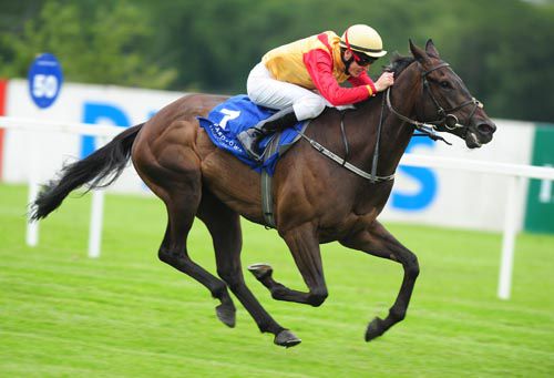 Back Burner wins at Leopardstown with Fran Berry in the saddle 