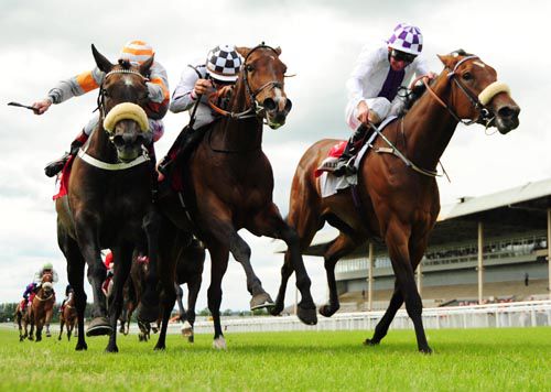 Fionnuar (right) defeats Slipper Orchid (left) and September Lily