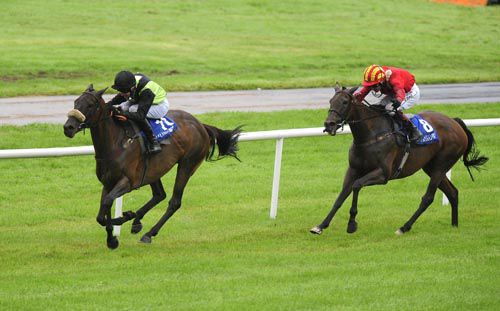Shadow Eile is too strong for Dare To Doubt at Ballinrobe