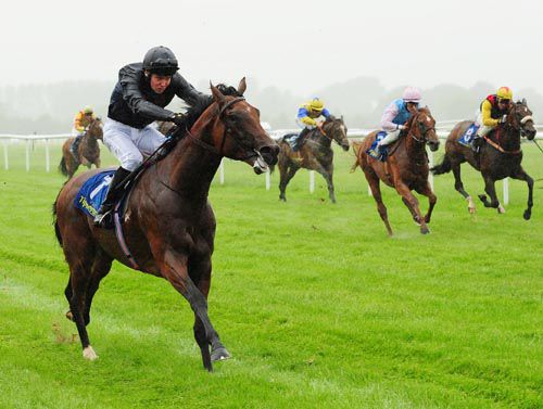 The Ferryman drifts across the track at Tipperary but still wins