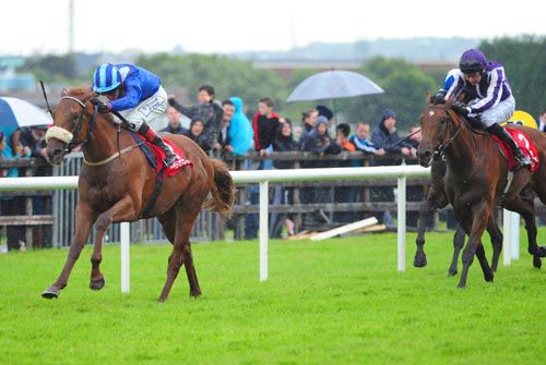 Muaanid and Pat Smullen beat King Of The Romans 