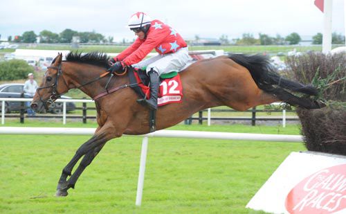 Paddy O Dee and Mark Enright jump the last well clear at Galway