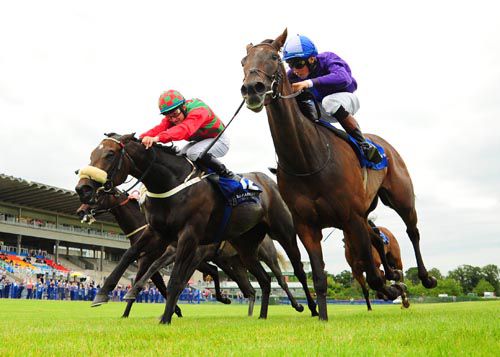 Dream Applause (nearest) gets the better of Via Ballycroy in the opener at Leopardstown